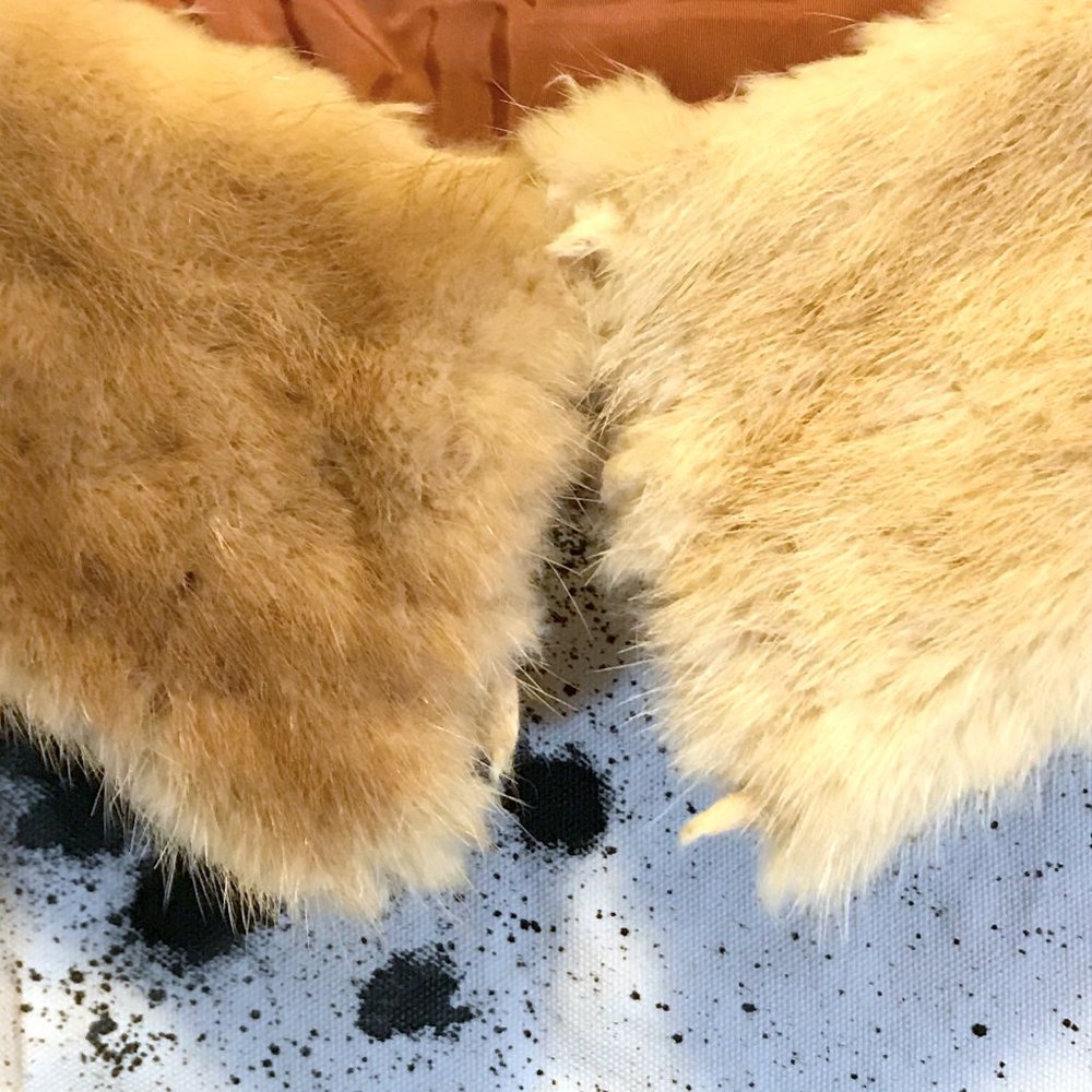 fur jacket collar - Picture 2 of 11